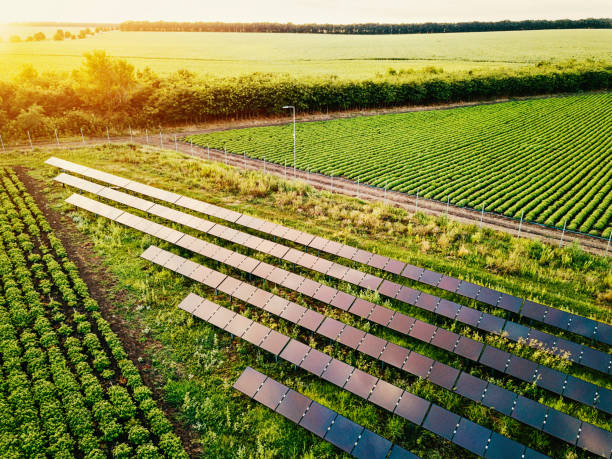 Landwirtschaftliche Fläche mit Photovoltaikanlagen