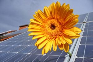 Photovoltaik mit Sonnenblume