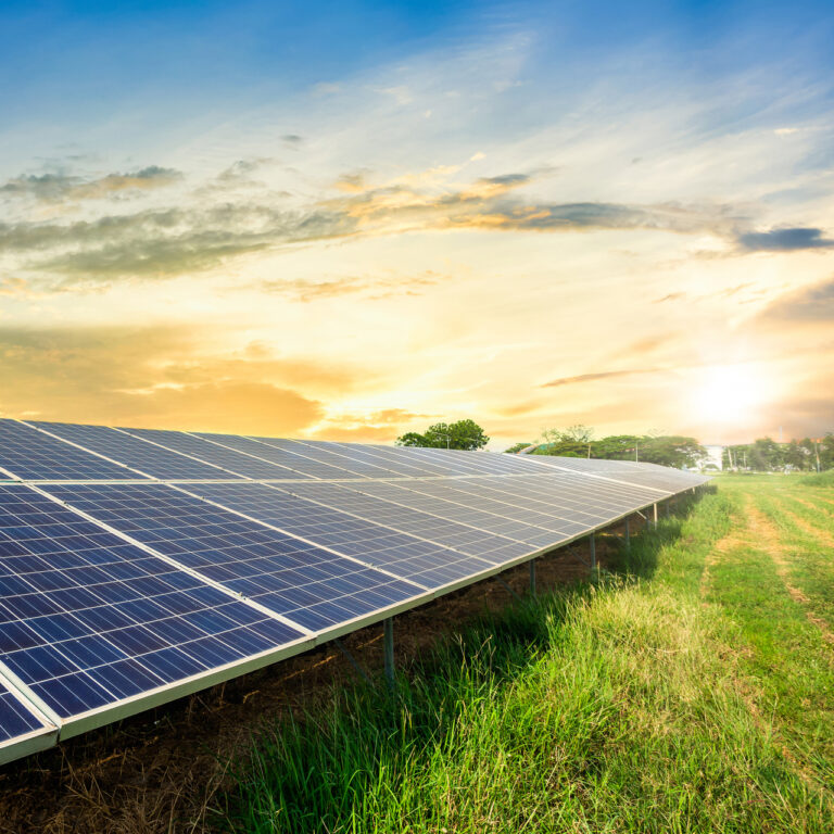 Photovoltaikanlage auf einer Weide mit einem Sonnen Aufgang