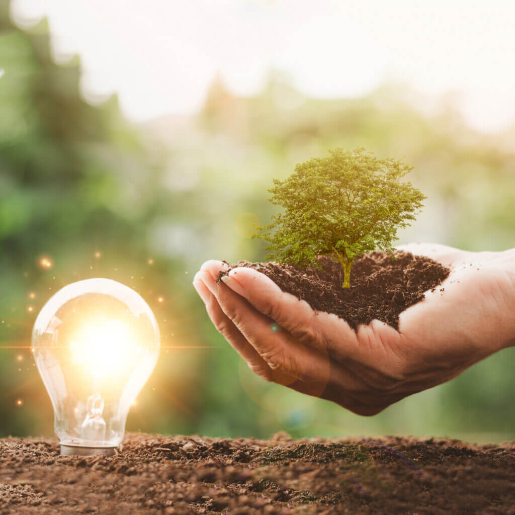 protecting the environment alternative energy Sustainable renewable energy sources Green energy innovation and environmentally friendly energy technology,tree is in the hand and the bulb is in soil.