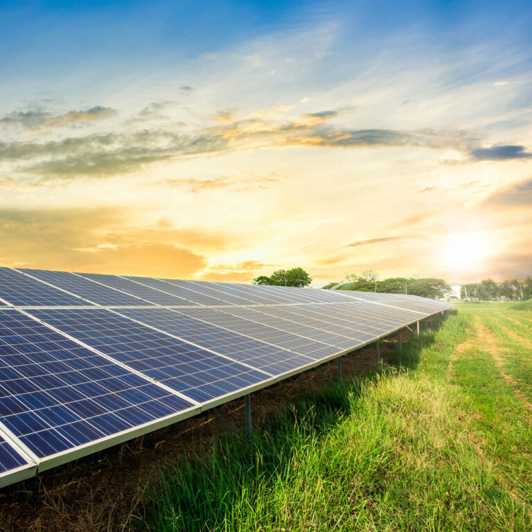 Photovoltaikanlage auf einer Weide mit einem Sonnen Aufgang